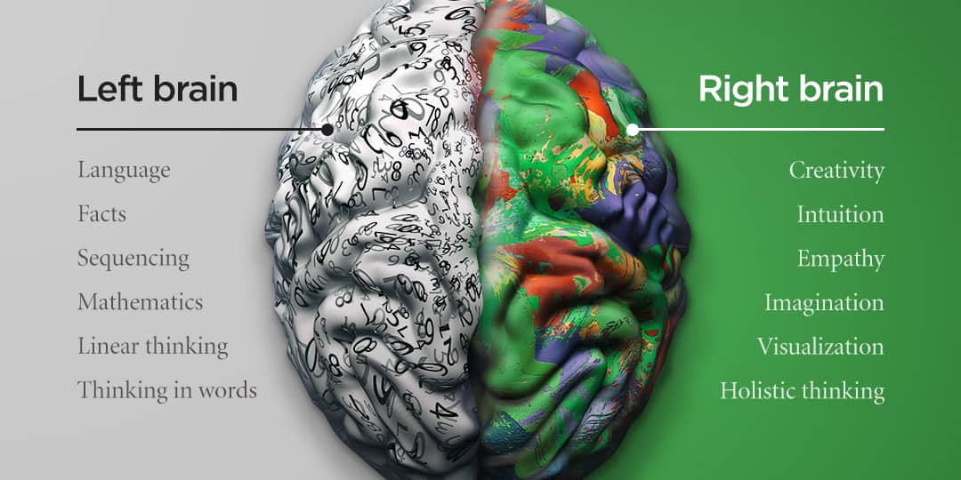 Brain divided into left and right side with bullet points listing the function of each side; Left: Facts, Linear thinking, Sequencing, Mathmatics, Language, Thinking in two words. Right: Intuition, Holistic thinking, Empathy, Visualization, Imagination, Creativity